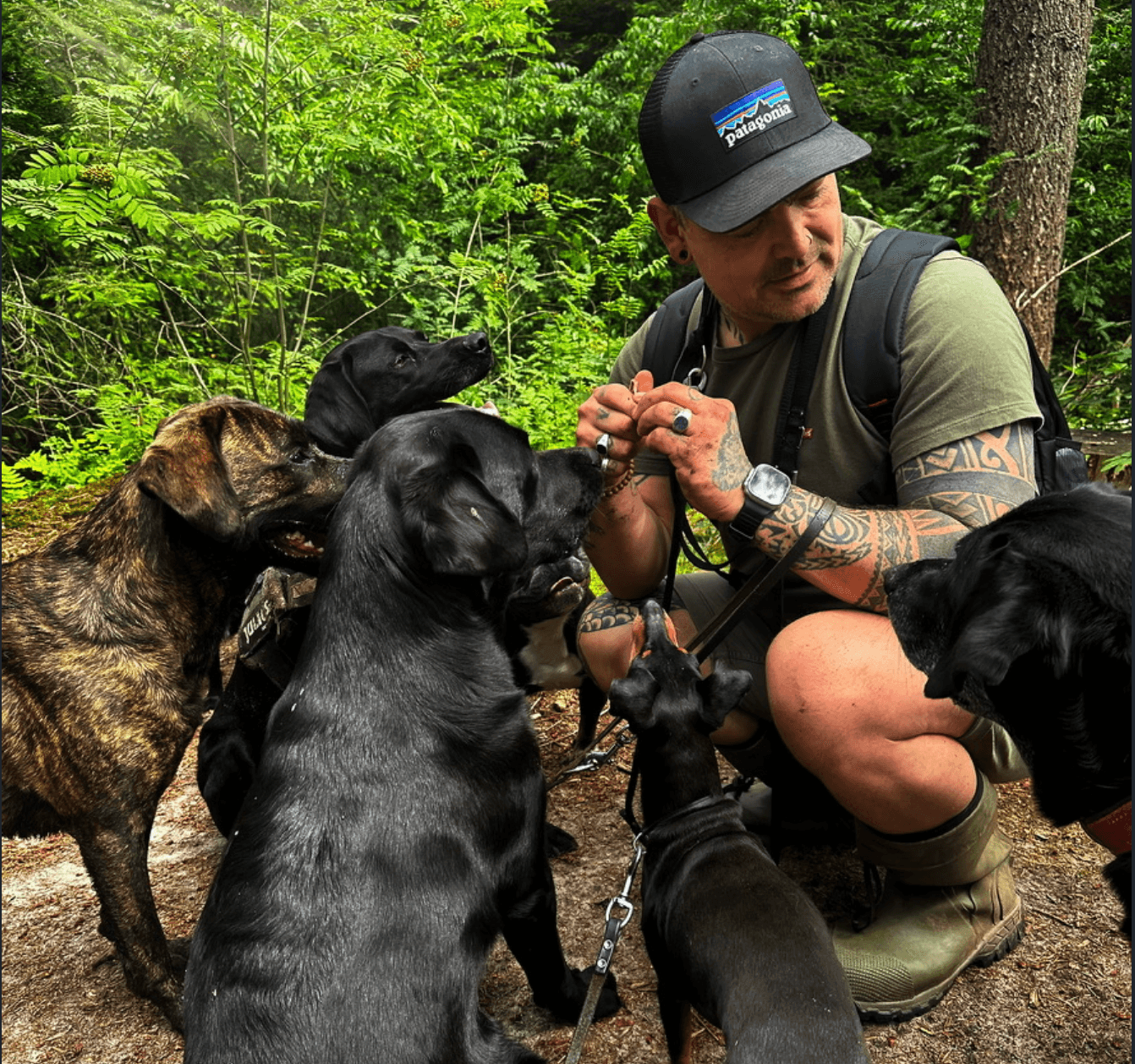 Honden op het speelveld van Dog-Connect